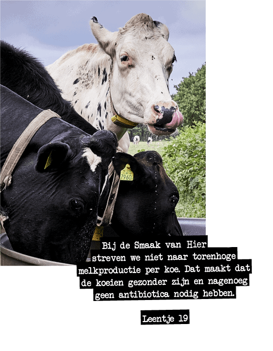 Biologische producten van de boer Biologische producten van de boer