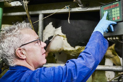 Lokale productie zuivel boerderij 4