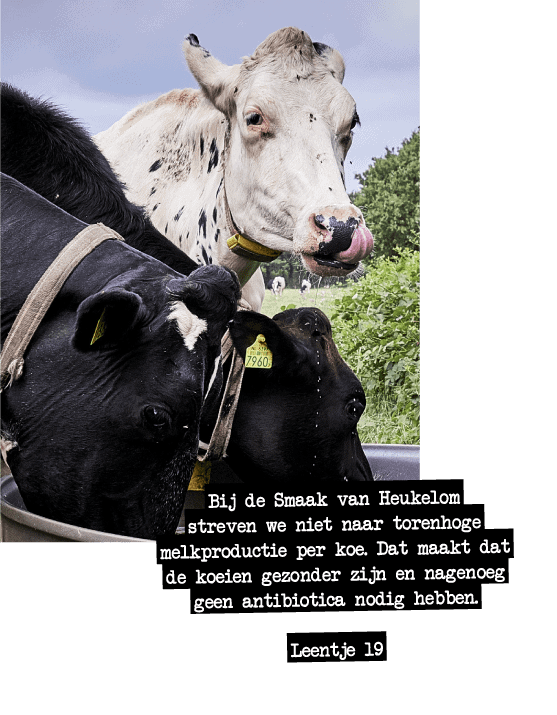 Smaak van hier producten Smaak van hier producten