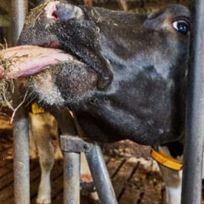 Verkooppunt lokale producten Brabant